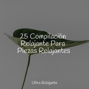 Hamaca En Los Árboles