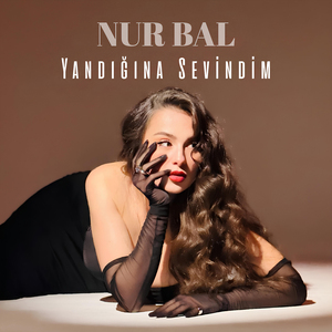 Yandığına Sevindim