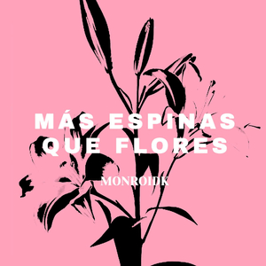 Nomeolvides