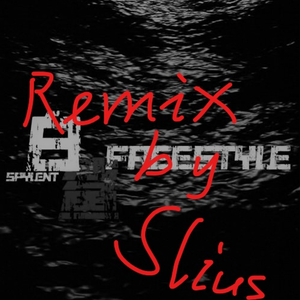 “白鲨Freestyle”Remix