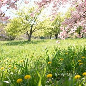 很短暂很遗憾 (Cover 王佳音)