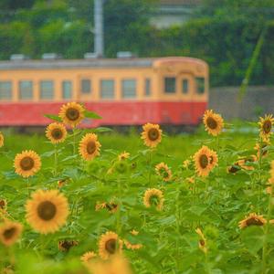 Better（prod by Bubbleboy ）