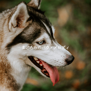 Refined Moods for Quiet Dinners