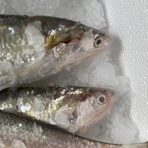 怪自己 /Prod By Bubbleboy/