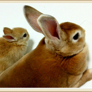 この空の向こうに