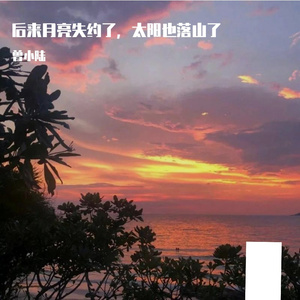 纤渝-忘了没有（Z.R remix）