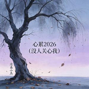 心累2026（没人关心我）