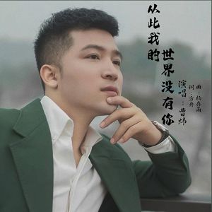 从此我的世界没有你