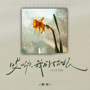 哎呦我的姑娘 (DJ版)