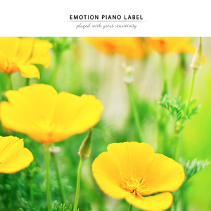 거리에서 In The Street