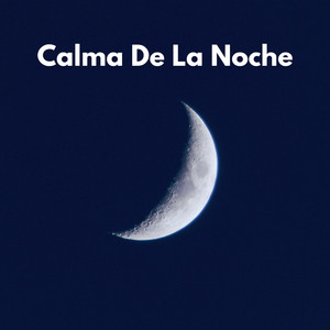 Comportamiento Dormido