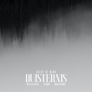 duisternis