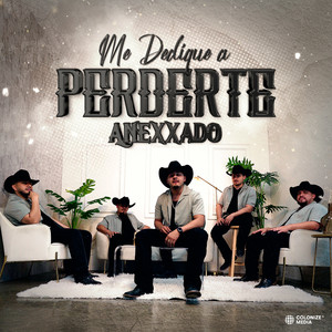 Me Dediqué a Perderte