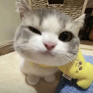 拜托拜托（cover 王澳楠eve）