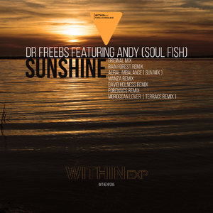 Sunshine (Dave Holness Remix)