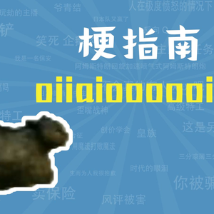 oiiaioooooiai是什么梗【梗指南】