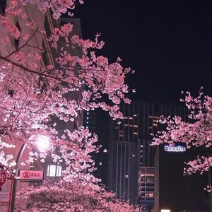 last summer (feat. Seikyo)