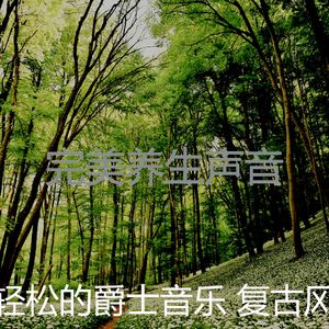 一尘不染睡眠印象数