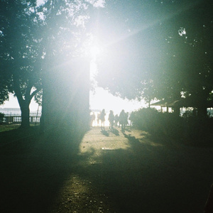 山野间花又落