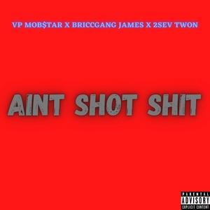Ain't Shot Shit (feat. BriccGang James & 2Sev Twon)
