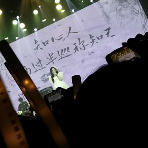 杨花落尽子规啼