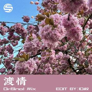 渡情（DJ10叔版）