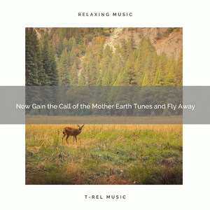 Soft Wild Water Compositions to Dream Profoundly and High Hopes