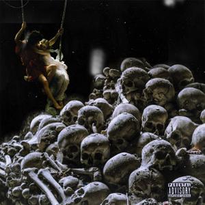 老狗的风犬日志