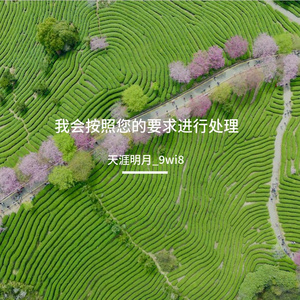 我会按照您的要求进行处理