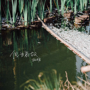 但为君故（翻自 吴磊）