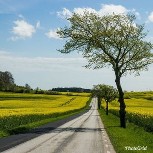 真夏の季節感って⁉（インスト）