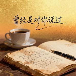 曾经是对你说过