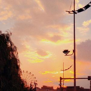 其实我也恨自己