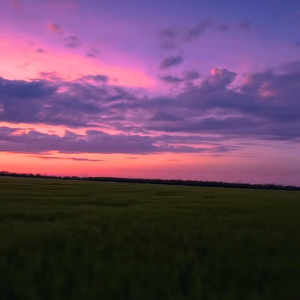 自己才是生活的核心