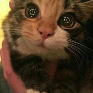 The Whole Truth (slowed)