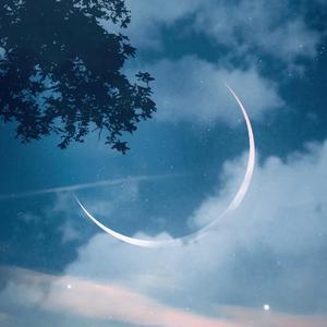 my beautiful（cover Davin大文）（翻自 Davin大文）