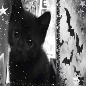 enfim (feat. Little Lip)