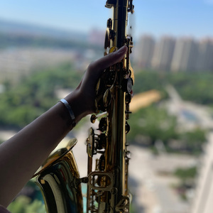 鸟之诗（萨克斯）