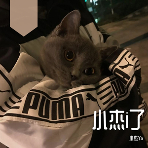 二十岁的某一天