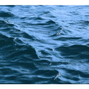 Sợ yêu lắm rồi