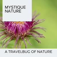 Mystique Nature - A Travelbug of Nature