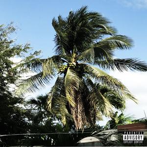 Effortless Thrive (feat. Tupicalo)