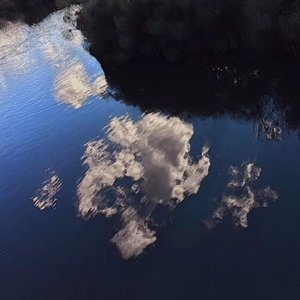 [FREE]MelodicMelody Type Beat