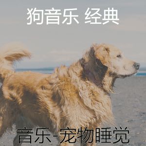 鼓舞人心(休息的狗)