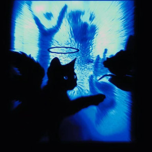 对 是错的 Ghost（王琳凯）