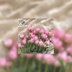 免费可商用 | "LOVE MORE" Rod Wave吉他抒情类型伴奏