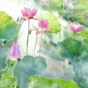 治愈心灵 (冥想放松音乐)