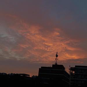 飘向北方（Cover）_20220408_215304