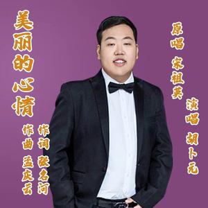 美丽的心情(伴奏)