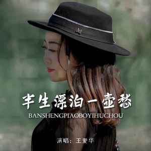 半生漂泊一壶愁